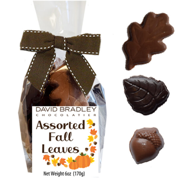 Assorted Fall Leaves - Fall