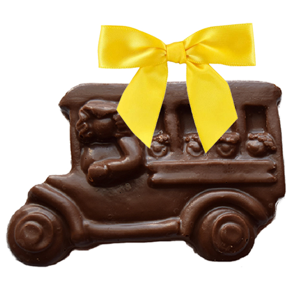 Teacher - School Bus
