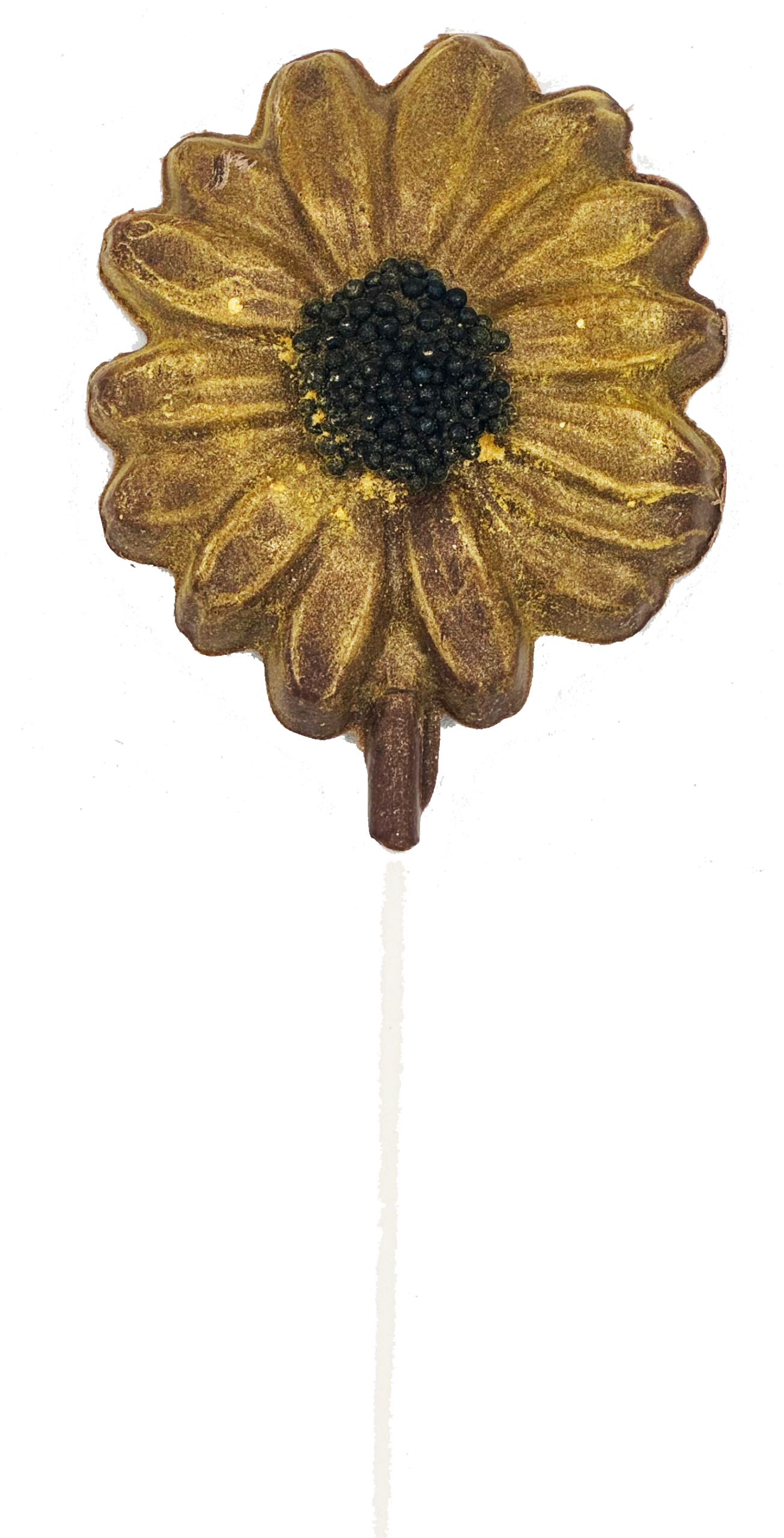 Daisy Pop - Image 3