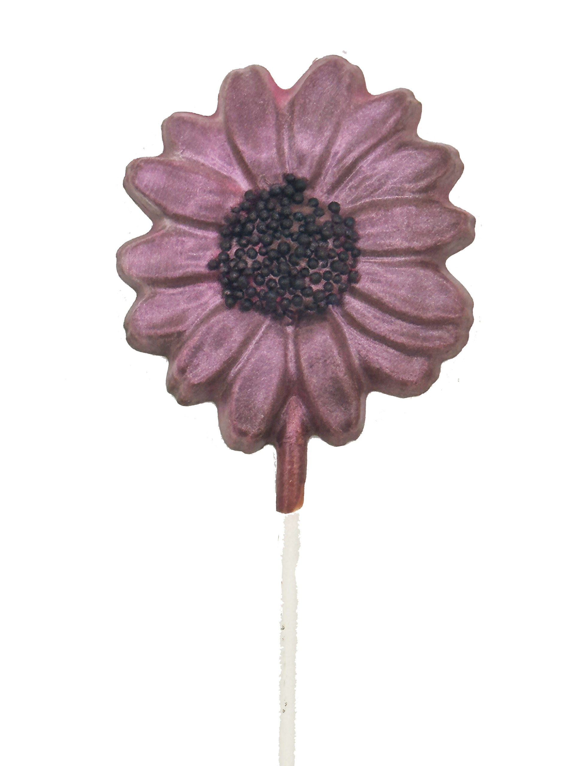 Daisy Pop - Mother's Day - Image 3