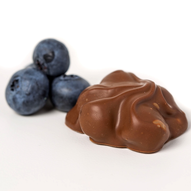 Chocolate covered Blueberries